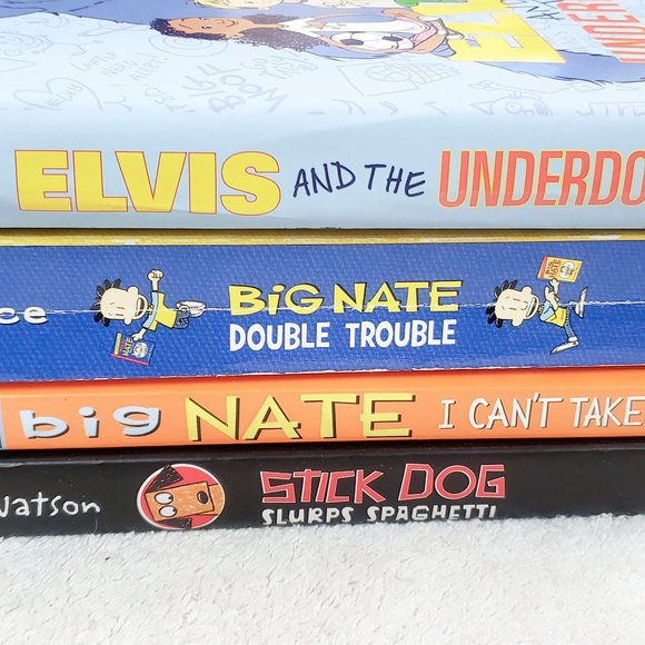 4  kids Books incl Big Nate and Stick Dog 8-12 yrs - Picture 5 of 6